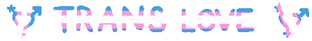 'trans rights now!' with a trans flag